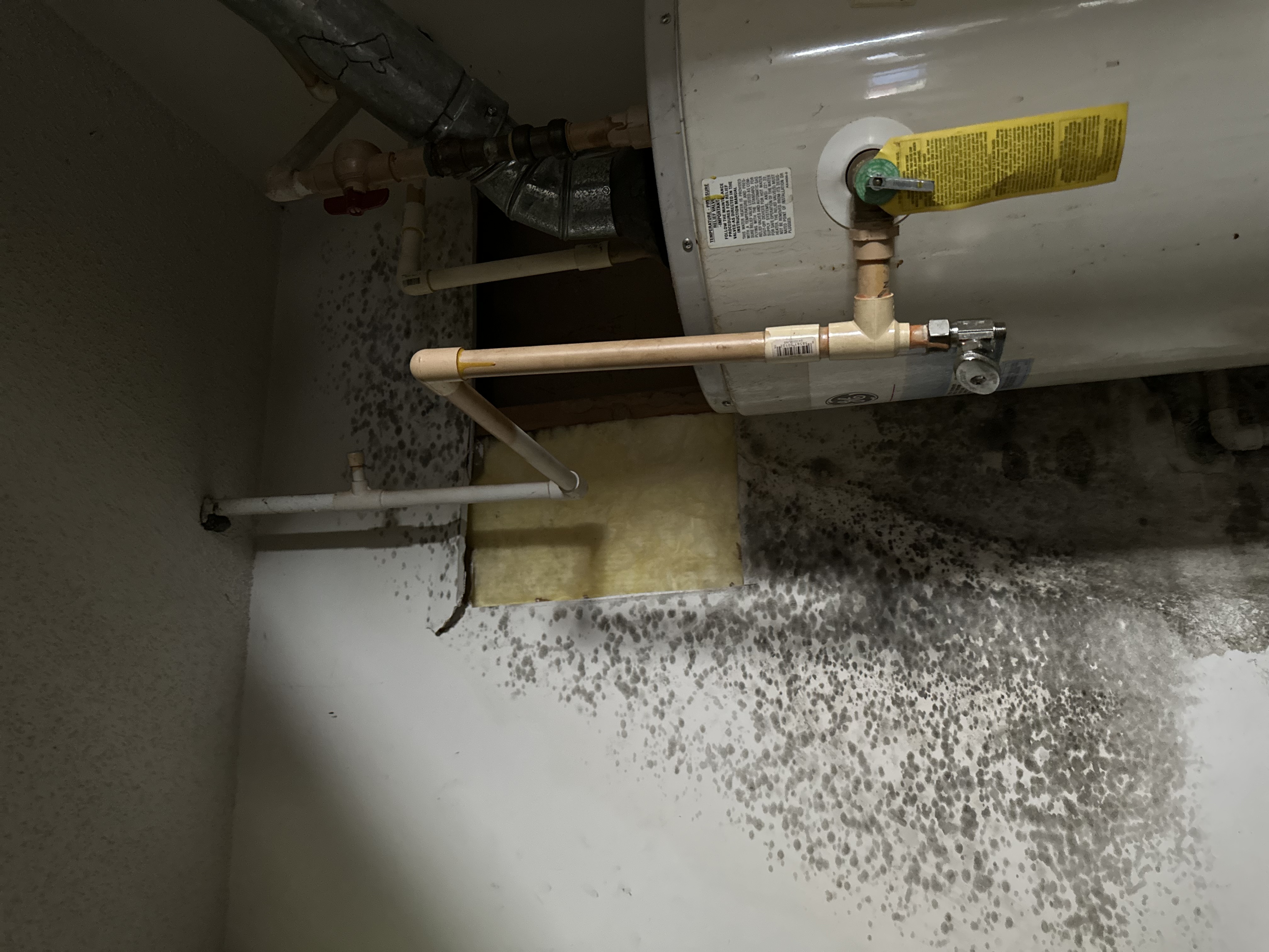 Mold growth around a water heater