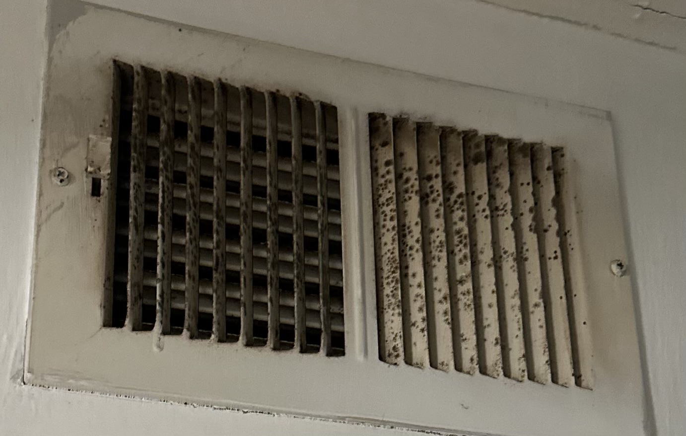 Mold growth on an air vent
